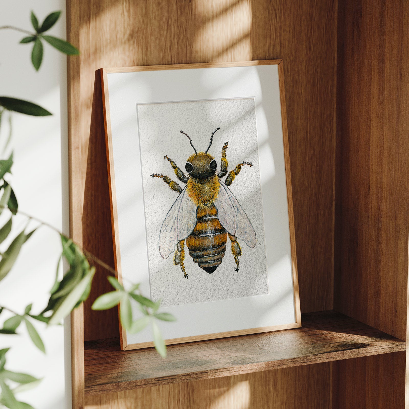 Framed Apis fratris fine art print on a wooden shelf in dappled daylight, a detailed watercolour study of a male honeybee with golden fuzz and pollen-dusted legs, by Léna Ruisz.