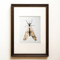 Delicate watercolour lacewing on a white ground, contemporary insect wall art, Neuroptera spectralis fine art print.