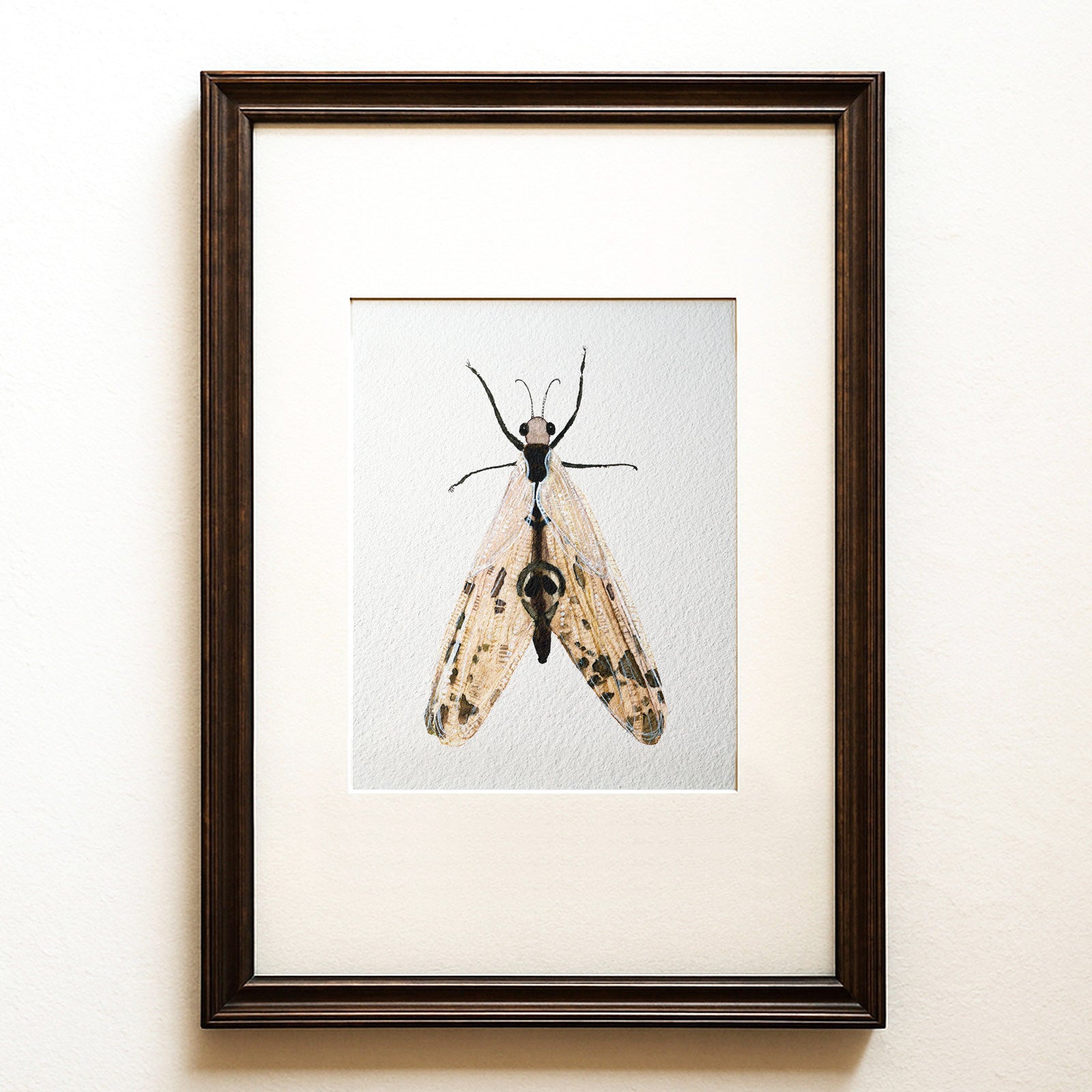 Delicate watercolour lacewing on a white ground, contemporary insect wall art, Neuroptera spectralis fine art print.