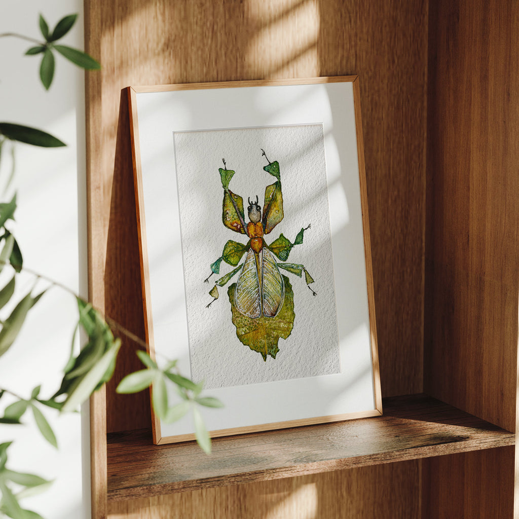 Framed Phyllium imaginarium fine art print on a wooden shelf in dappled daylight, a watercolour study of a leaf-mimicking insect in olive and green, by Léna Ruisz.