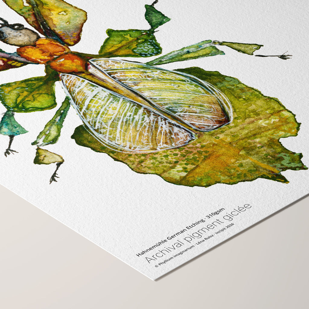Angled corner of the Phyllium imaginarium fine art print on Hahnemühle German Etching paper, a watercolour study of a leaf-mimicking insect in olive and green, with printed paper credentials.