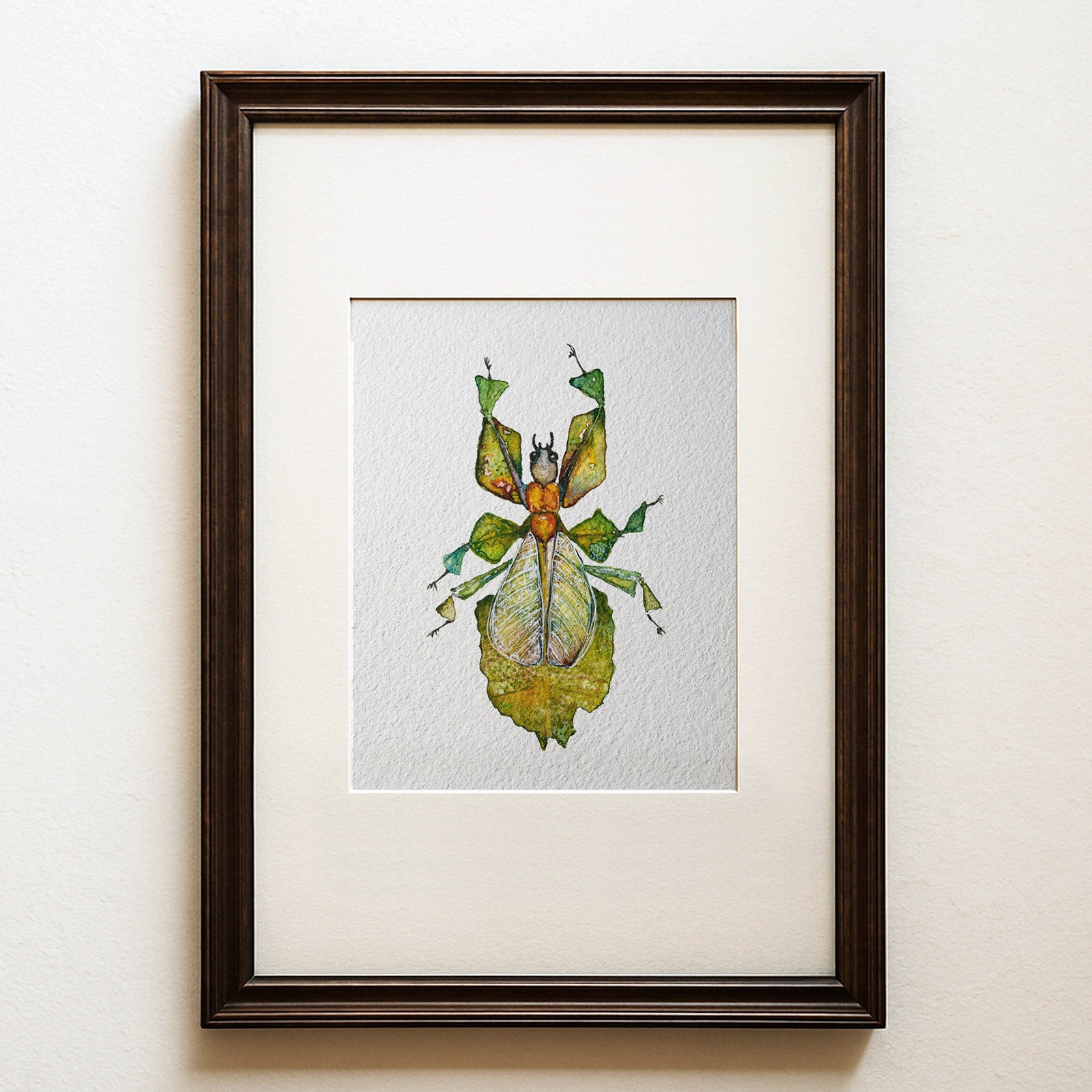 Watercolour painting of a winged green leaf insect on a white ground, contemporary entomology wall art, Phyllium imaginarium fine art print.
