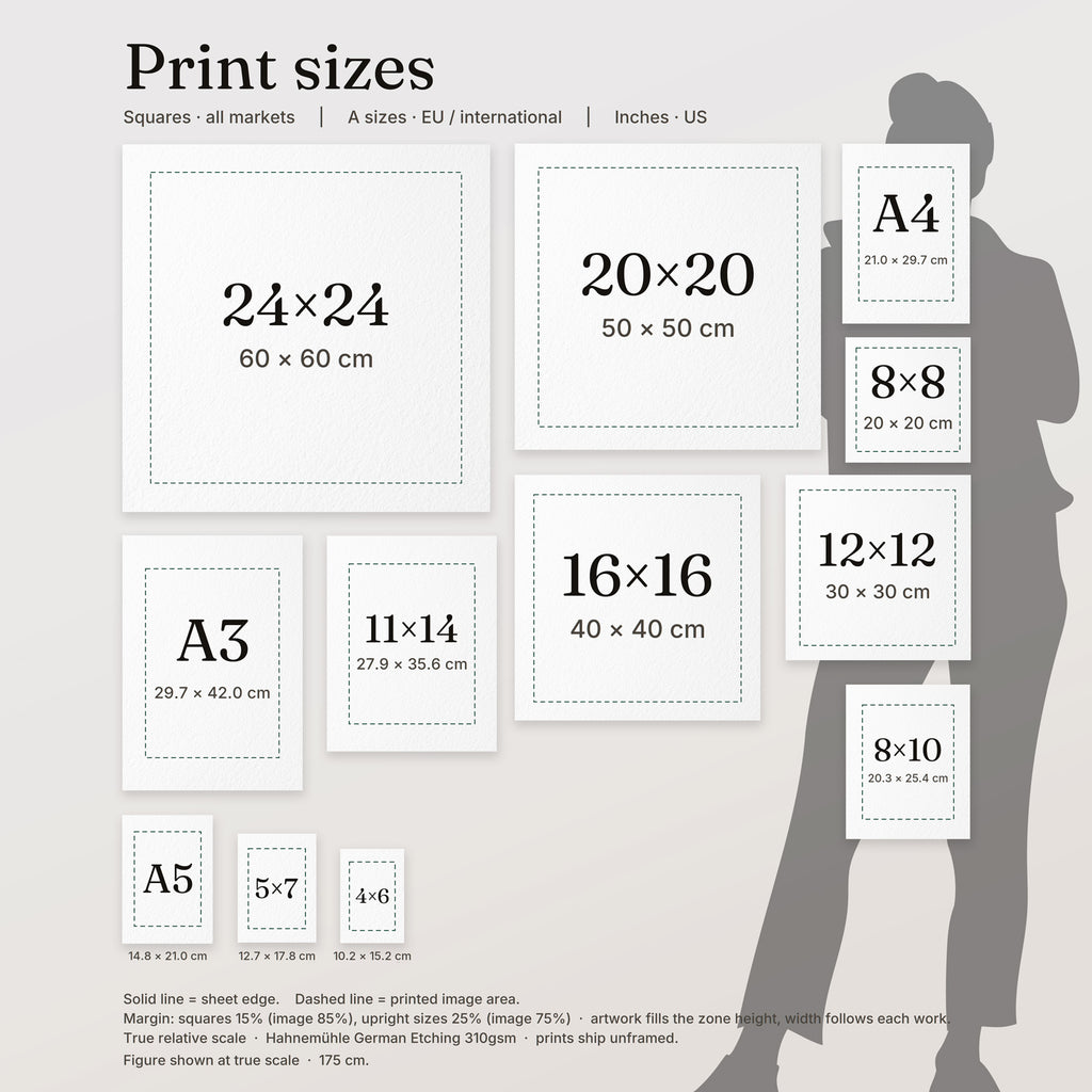 Wildcabinet fine art print size guide – every format shown at true relative scale, from 4×6 in up to the 60 cm square, A5 to A3, with a 175 cm figure for scale.